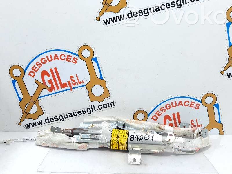 Airbag del techo   605287400,89669