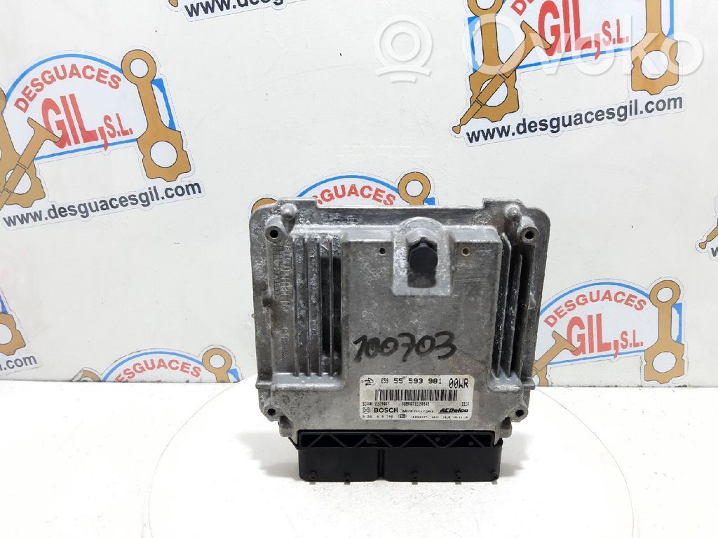 Engine control unit/module   E5955593981,100703