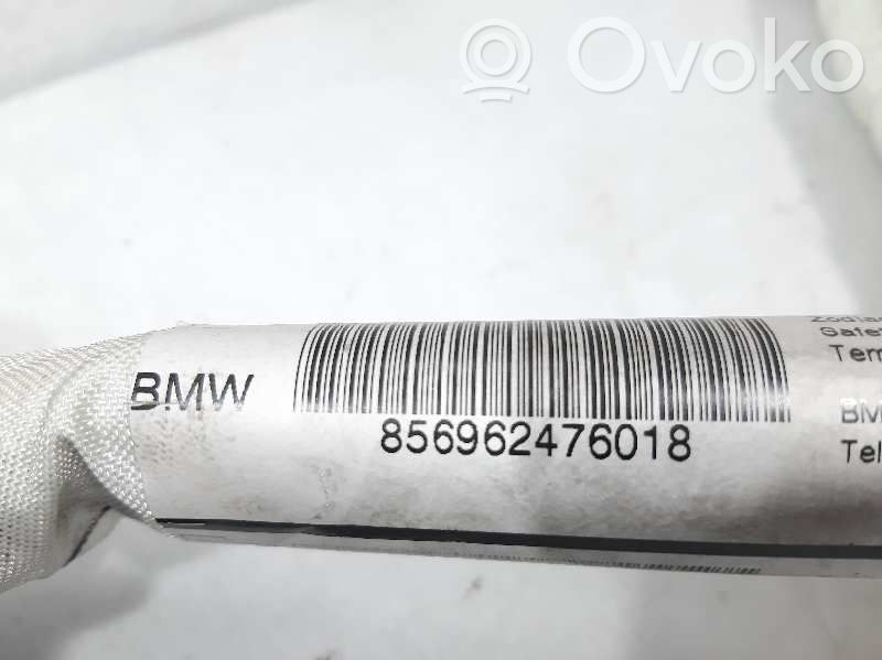 Kopfairbag   856962476018,86904