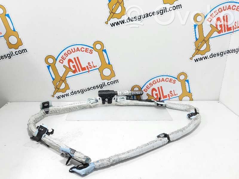 Airbag del techo   84696664508W,86527