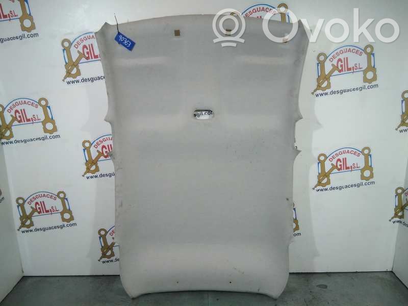 Citroen C3 Headlining 
