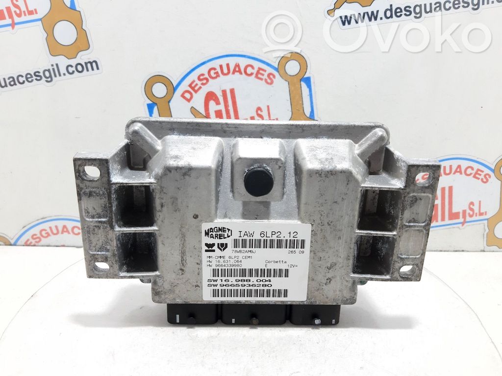 Engine control unit/module   IAW6LP212,122843