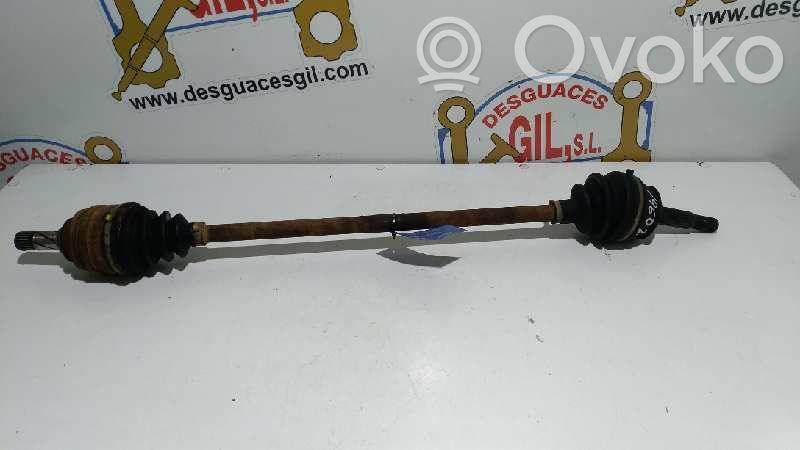 Priekinis pusašis   R26242985319602,R262429853