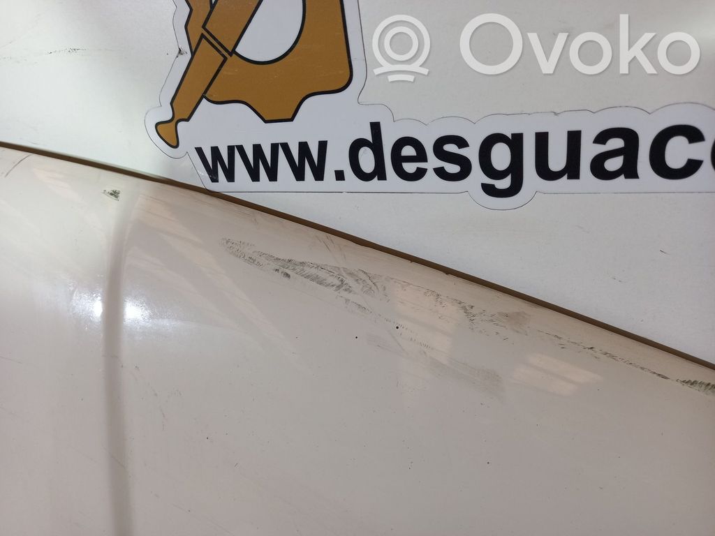 Dzinēja pārsegs (vāks)   108045