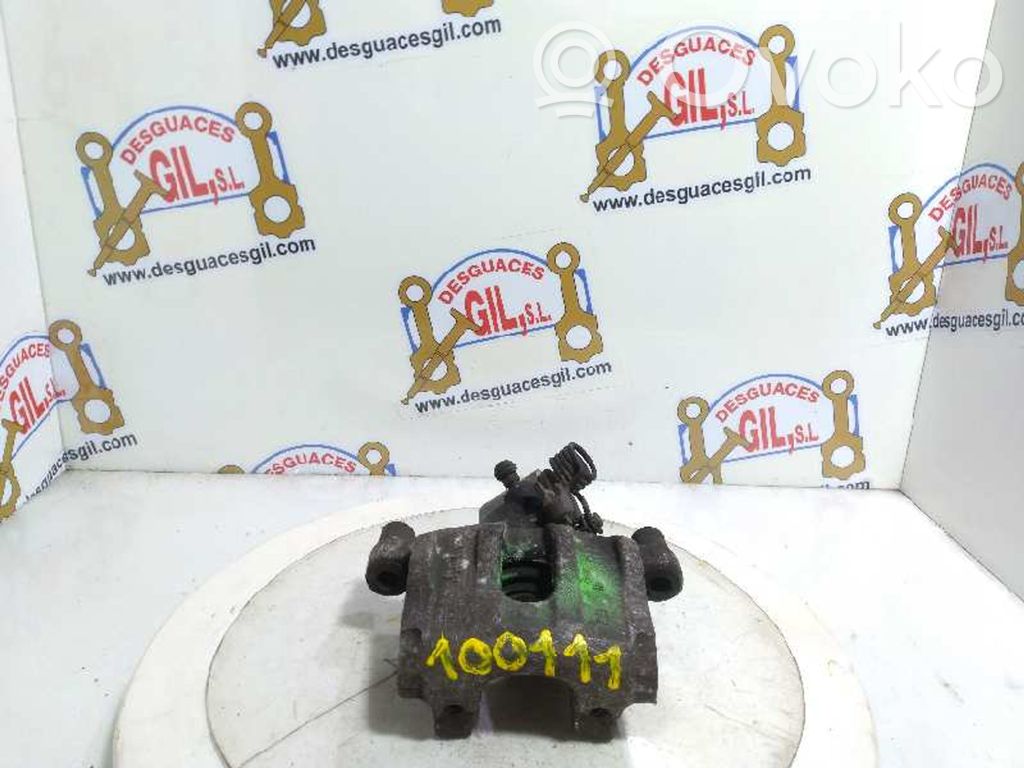 Bremssattel hinten   100111
