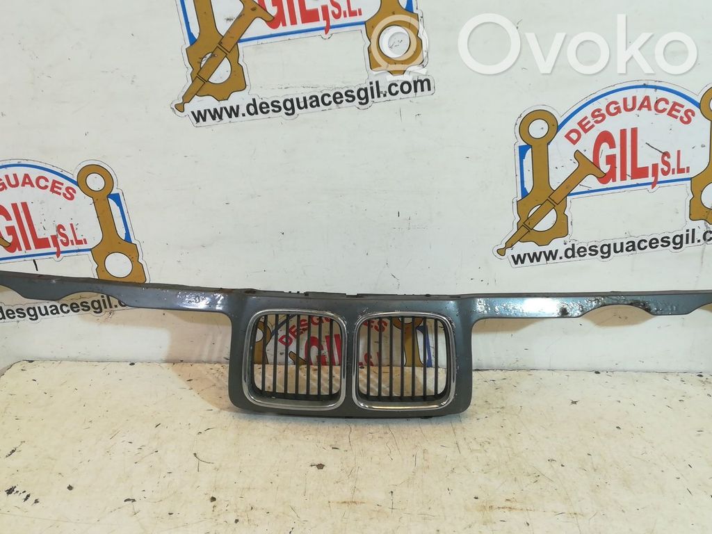 Front grill   150089