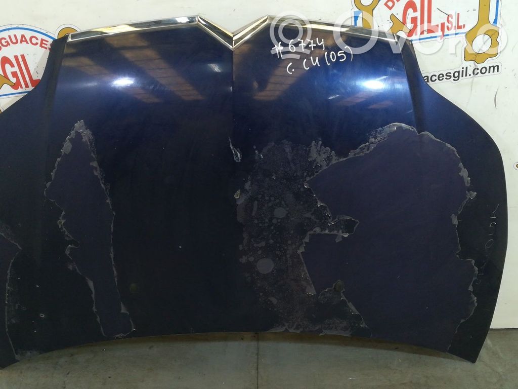 Engine bonnet/hood   150314