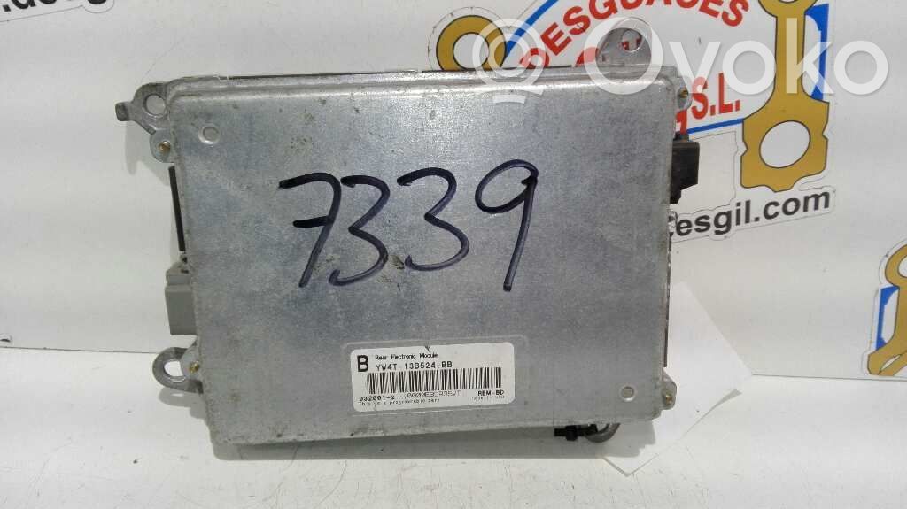 Autres unités de commande / modules   YW4T13B524,7339