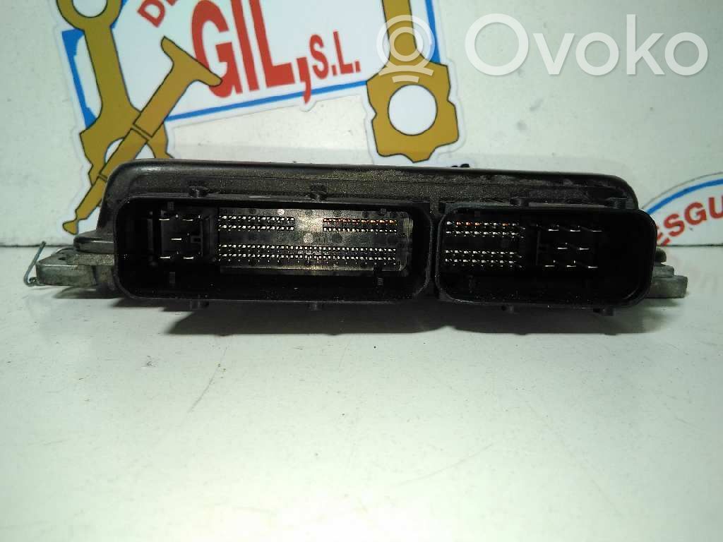 Engine control unit/module   1214752761001,29603