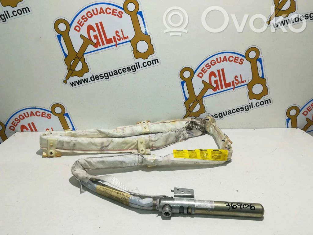 Airbag del techo   857033768119,36906