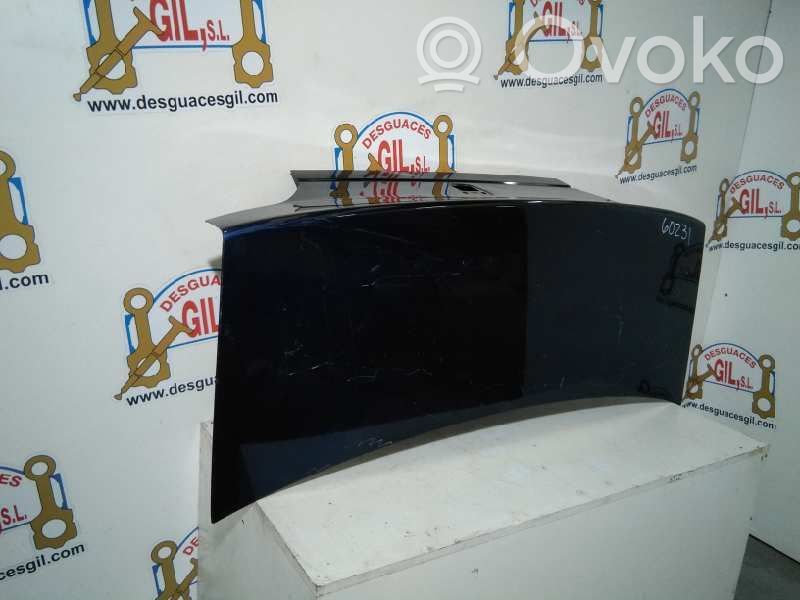Tailgate/trunk/boot lid   60231