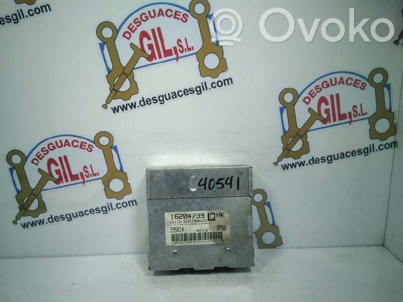Engine control unit/module   16204739,40541