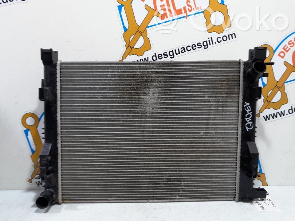 Dzesēšanas šķidruma radiators   154242