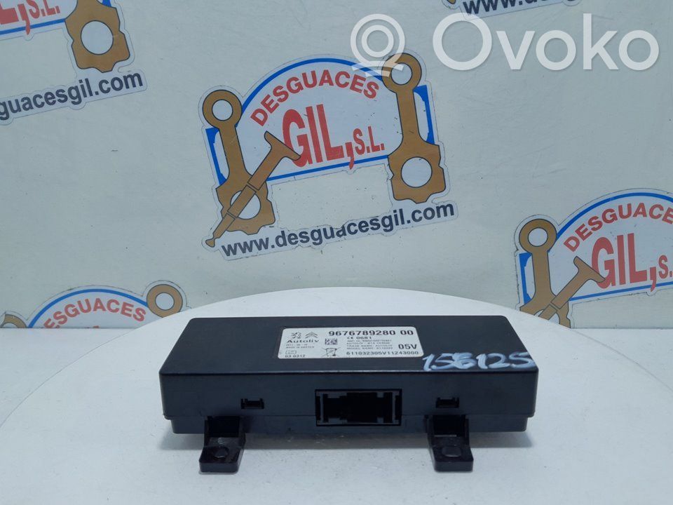 Peugeot iOn Other control units/modules 