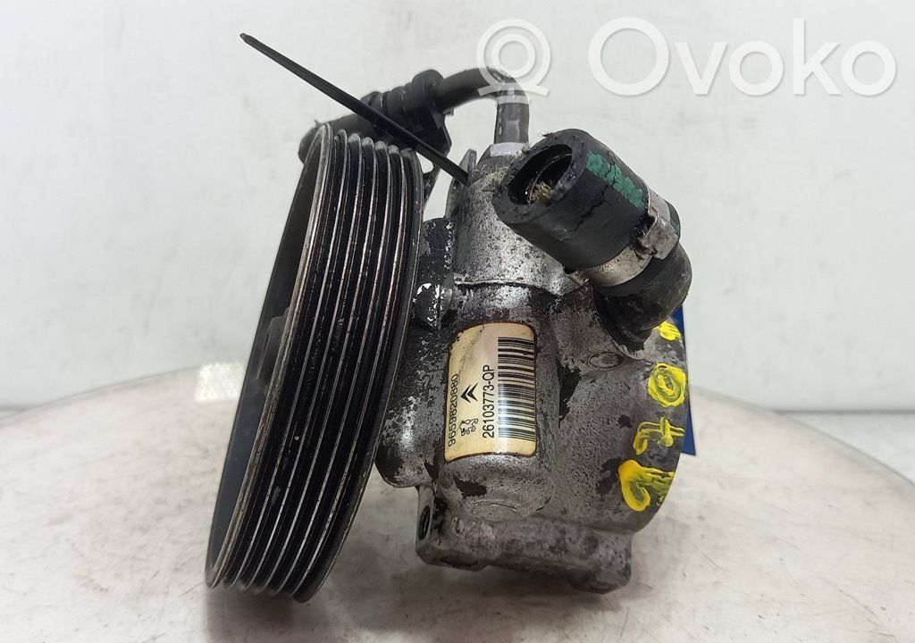 Servopumpe   9659820880,170775