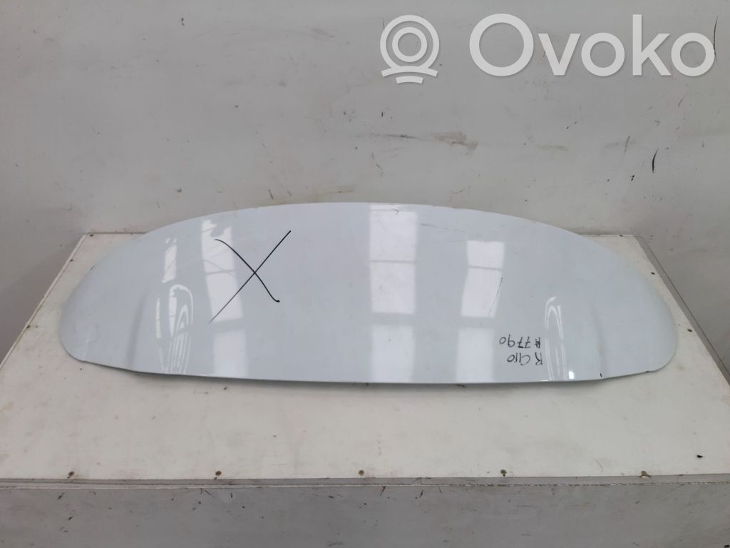 Tailgate/trunk spoiler   171413