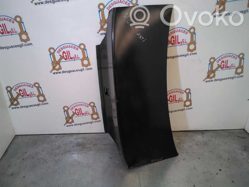 Tailgate/trunk/boot lid   45277