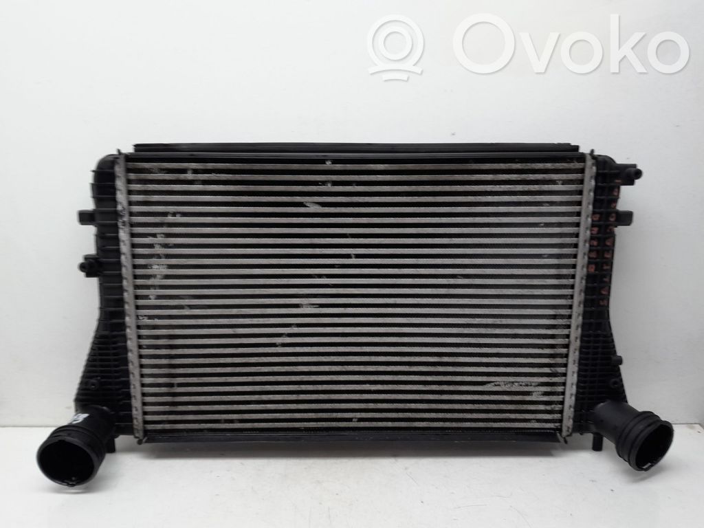 Seat Altea Chłodnica powietrza doładowującego / Intercooler 