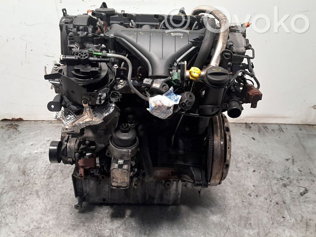 Ford Focus Motor 