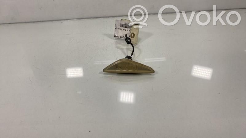 BMW 3 E46 Front indicator light 