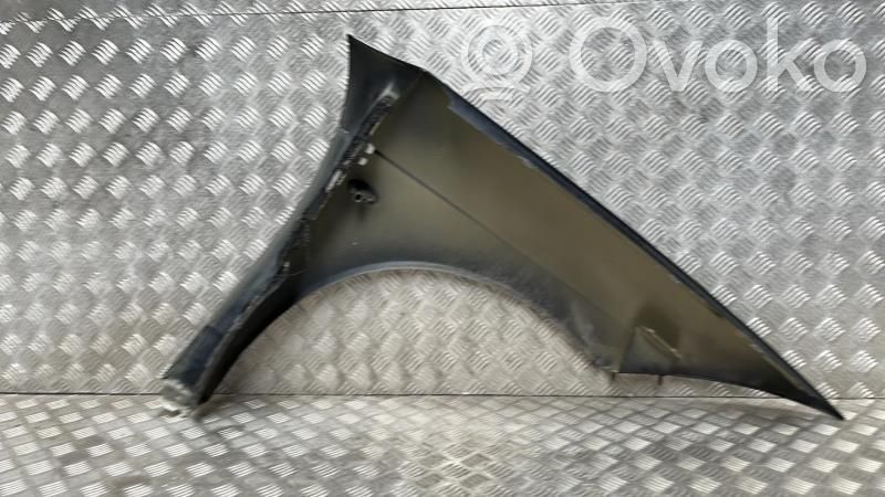 Citroen C6 Guardabarro 