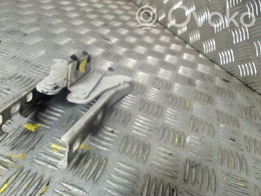 Seat Exeo (3R) Cerniere del vano motore/cofano