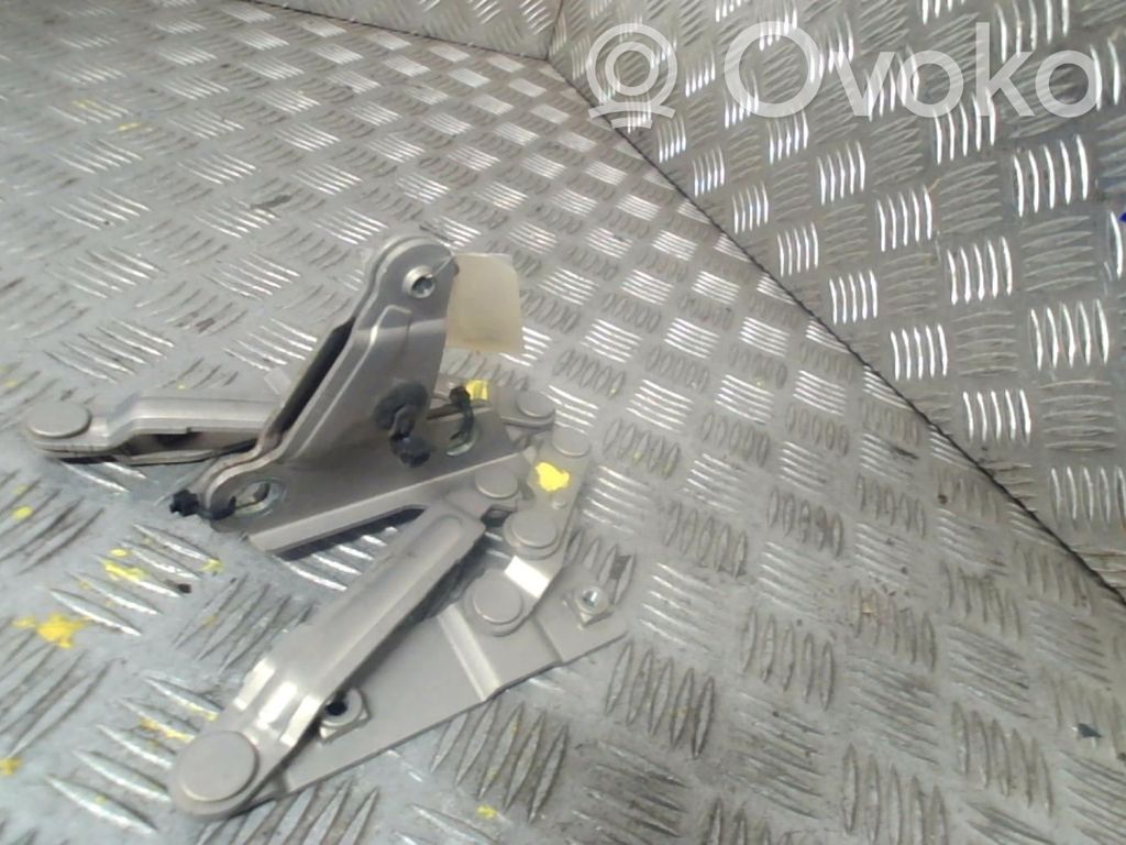 Seat Altea XL Cerniere del vano motore/cofano 