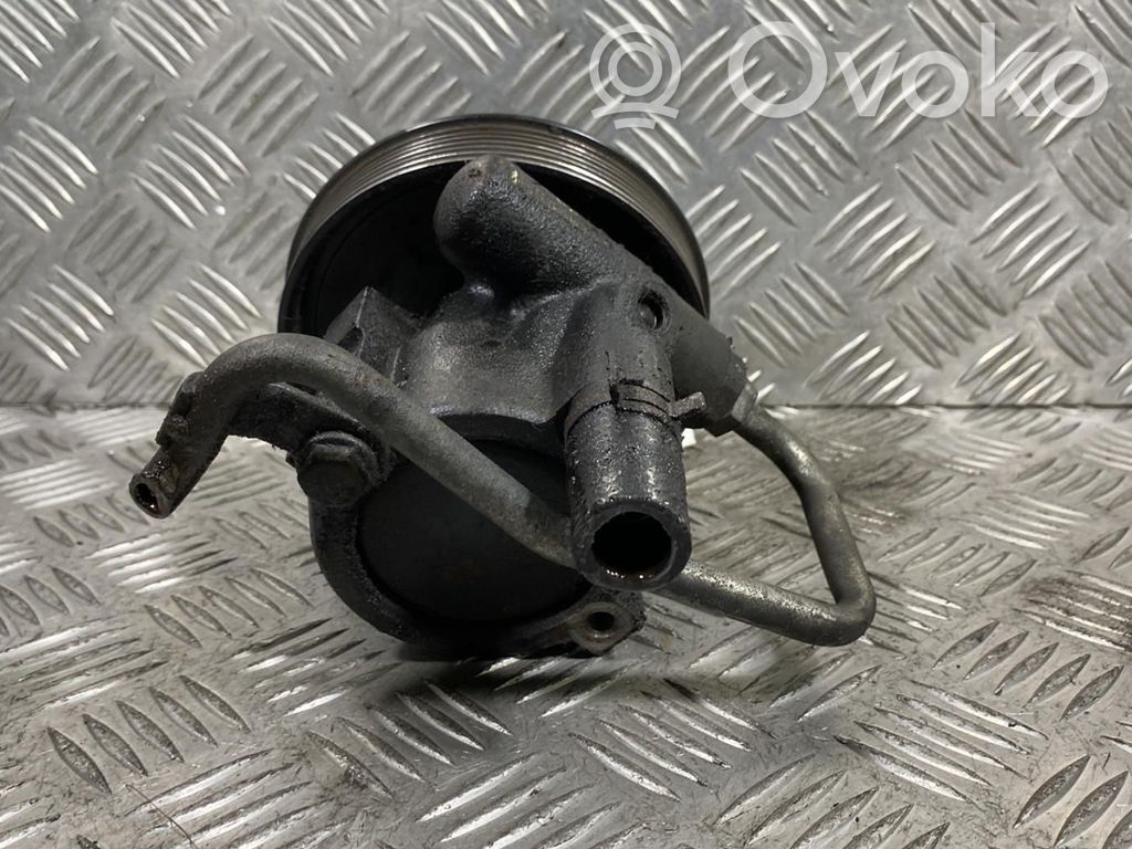 Ohjaustehostimen pumppu   491106541R