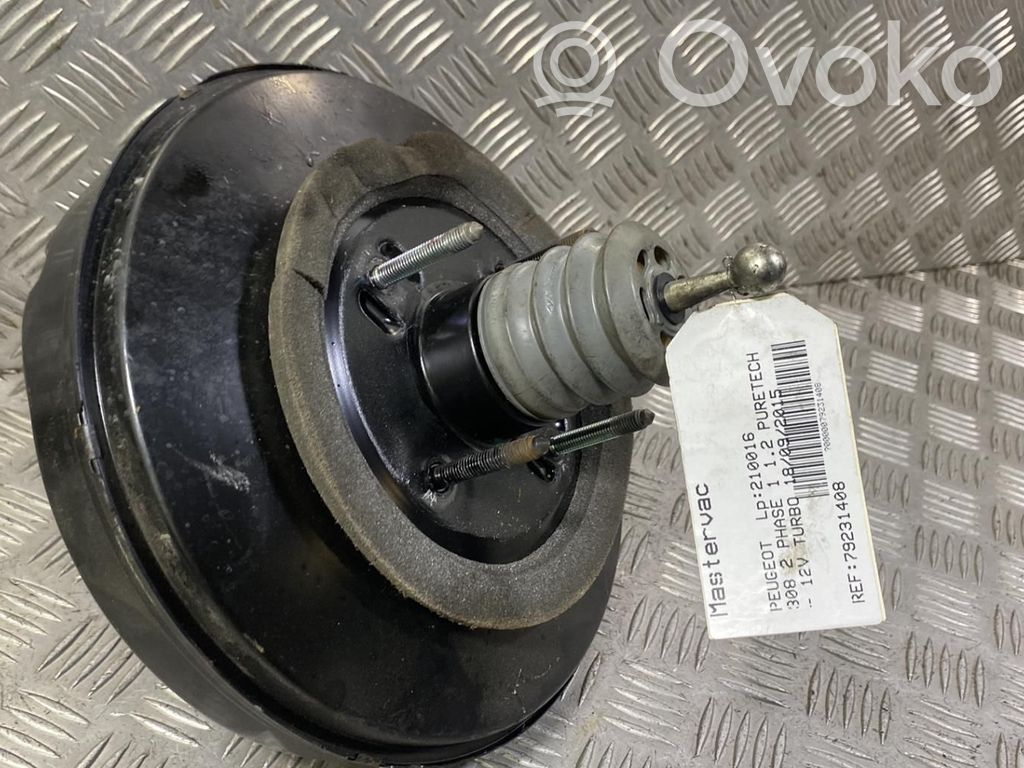 Servofreno   1610769680