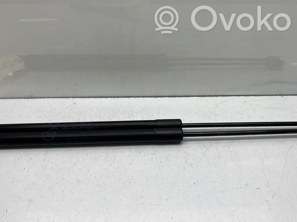 Ford Focus Tailgate/trunk strut/damper 