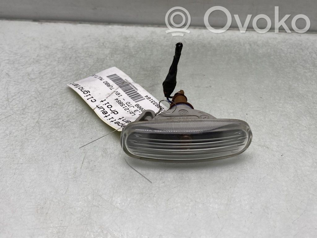 Frontblinker   0000051942933