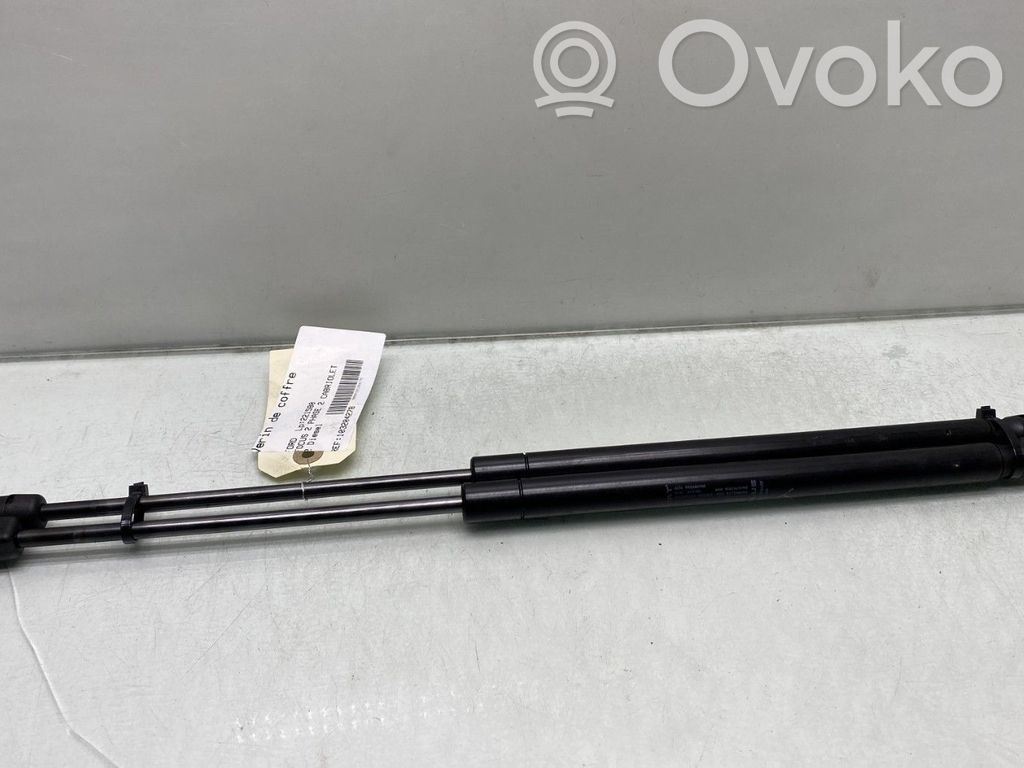 Ford Focus Tailgate/trunk strut/damper 