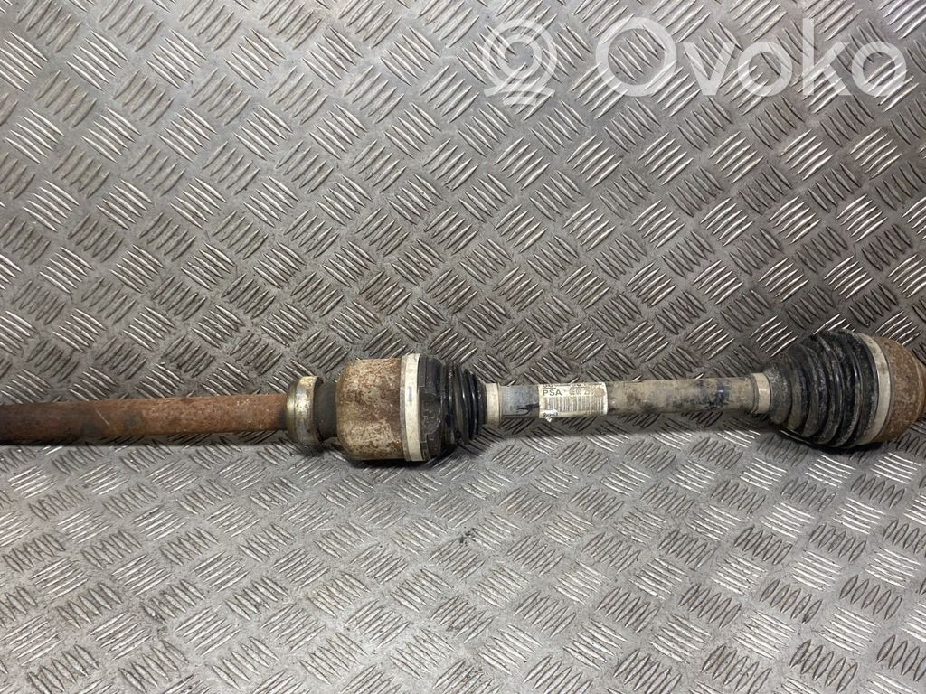 Priekinis pusašis   9868325680