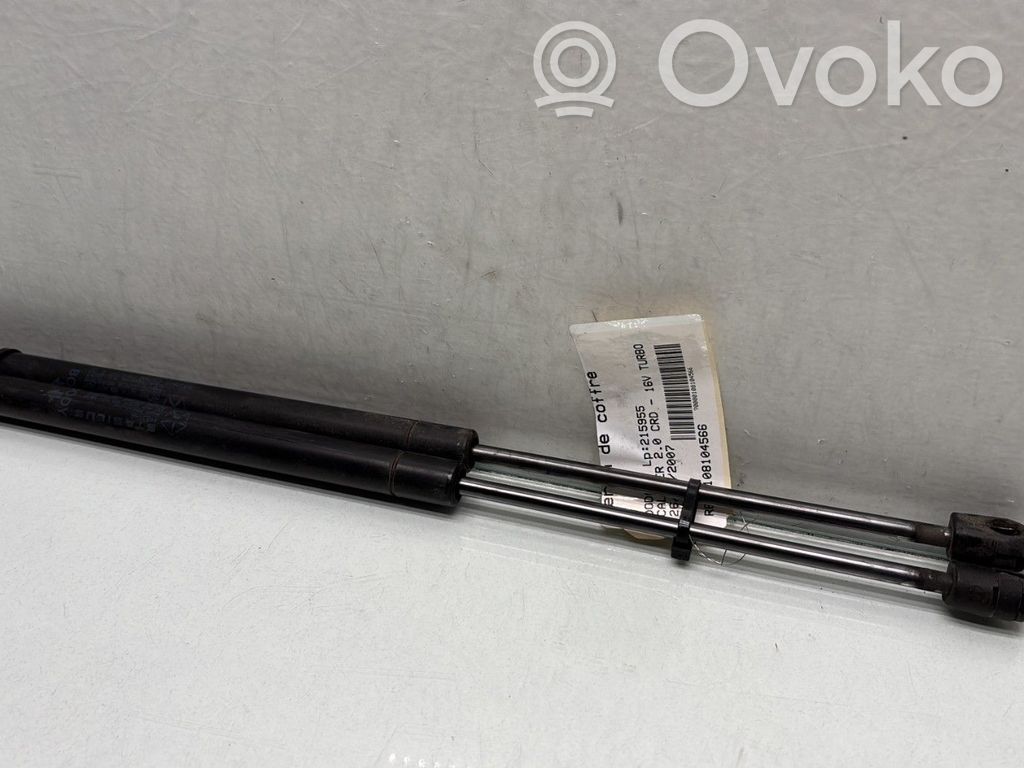 Dodge Caliber Tailgate/trunk strut/damper 