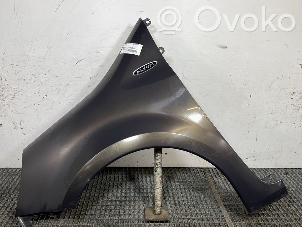Guardabarro   631019020R