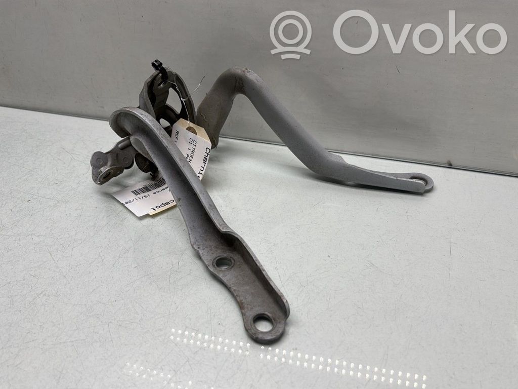 Citroen C1 Engine bonnet/hood hinges 