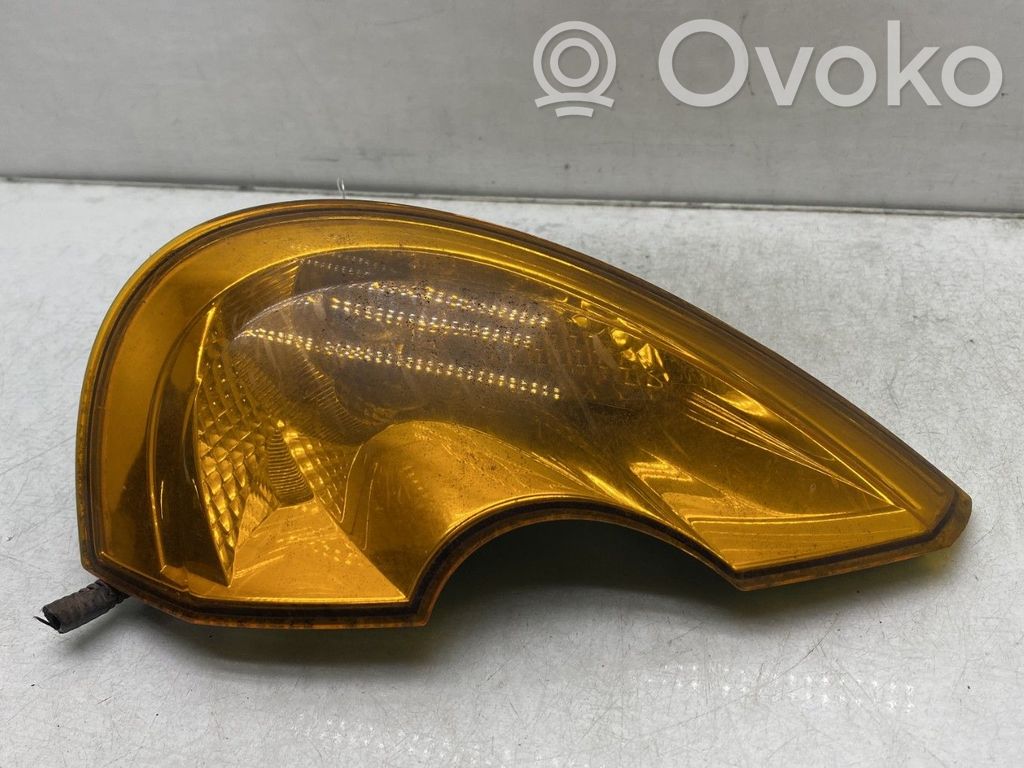 Seitenblinker   8200267914