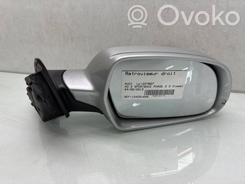 Audi A3 S3 A3 Sportback 8P Manualne lusterko boczne drzwi przednich 