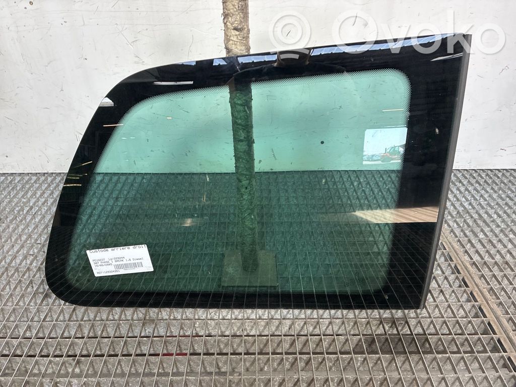 Peugeot 307 Geam lateral spate 