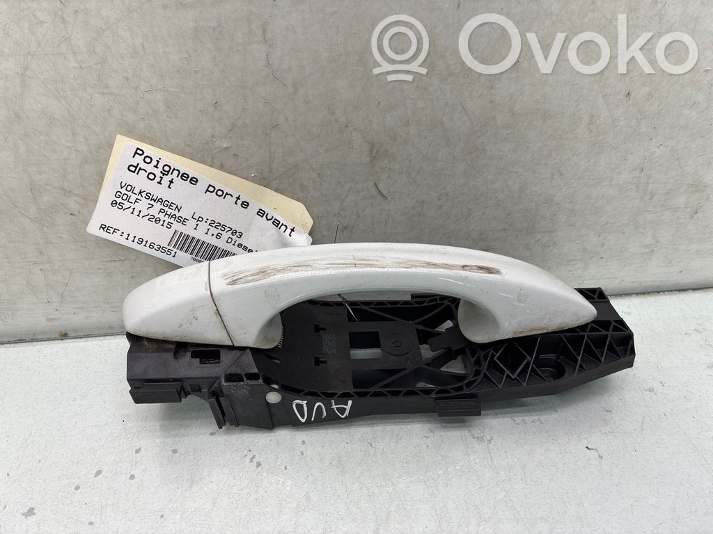 Volkswagen Golf VII Mâner exterior ușă față 