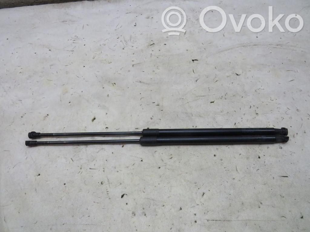 Tailgate strut   315733,315733