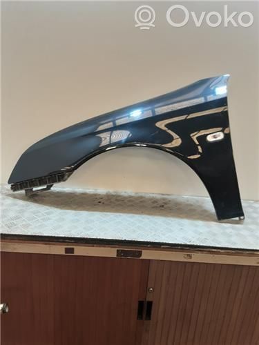 Fender