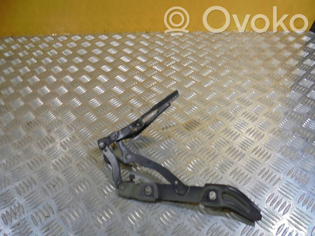 Tailgate/trunk/boot hinge   7060627