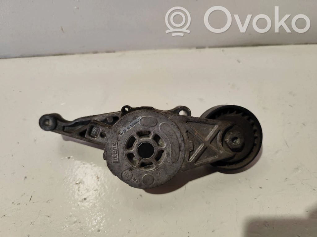Volkswagen PASSAT B6 Întinzător curea generator/alternator 