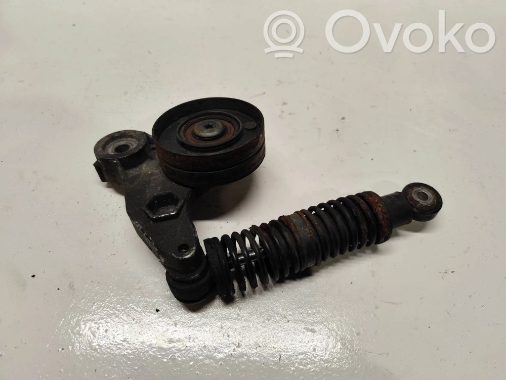 Audi A4 S4 B7 8E 8H Întinzător curea generator/alternator 