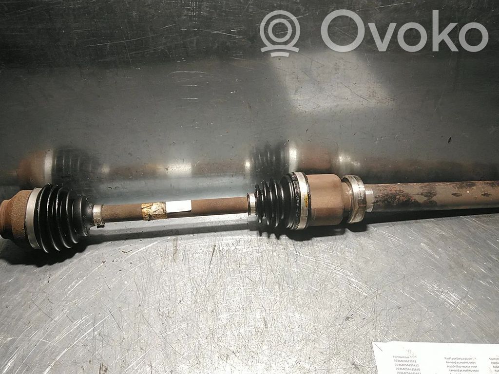 Priekinis pusašis   3M513B436DG,8S4PBA