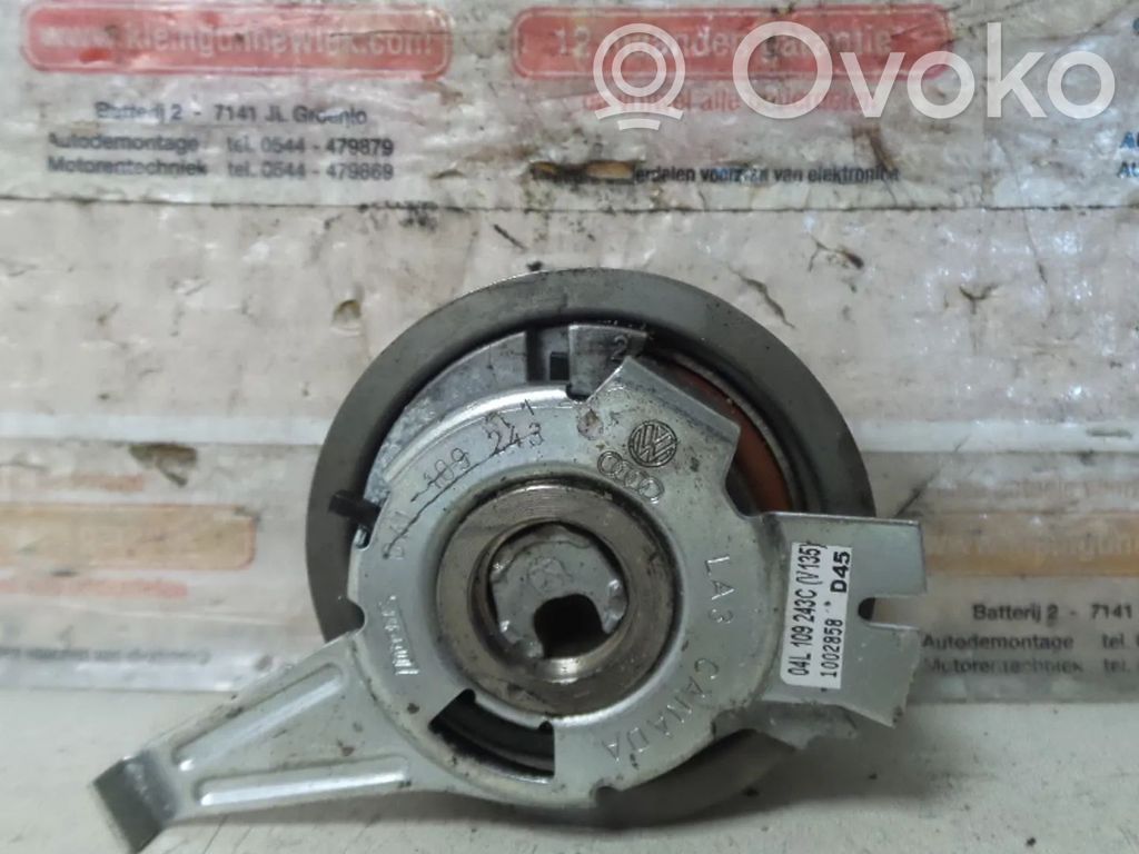 Volkswagen Golf VII Koło pasowe napinacza paska alternatora 