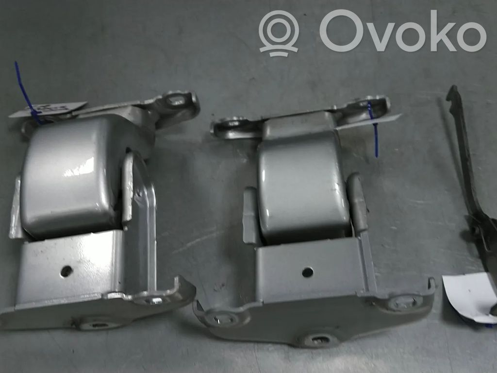 Tailgate/trunk/boot hinge   904005473R,904005453R,904006707R,904108626R,904704999R,93458937,93458938