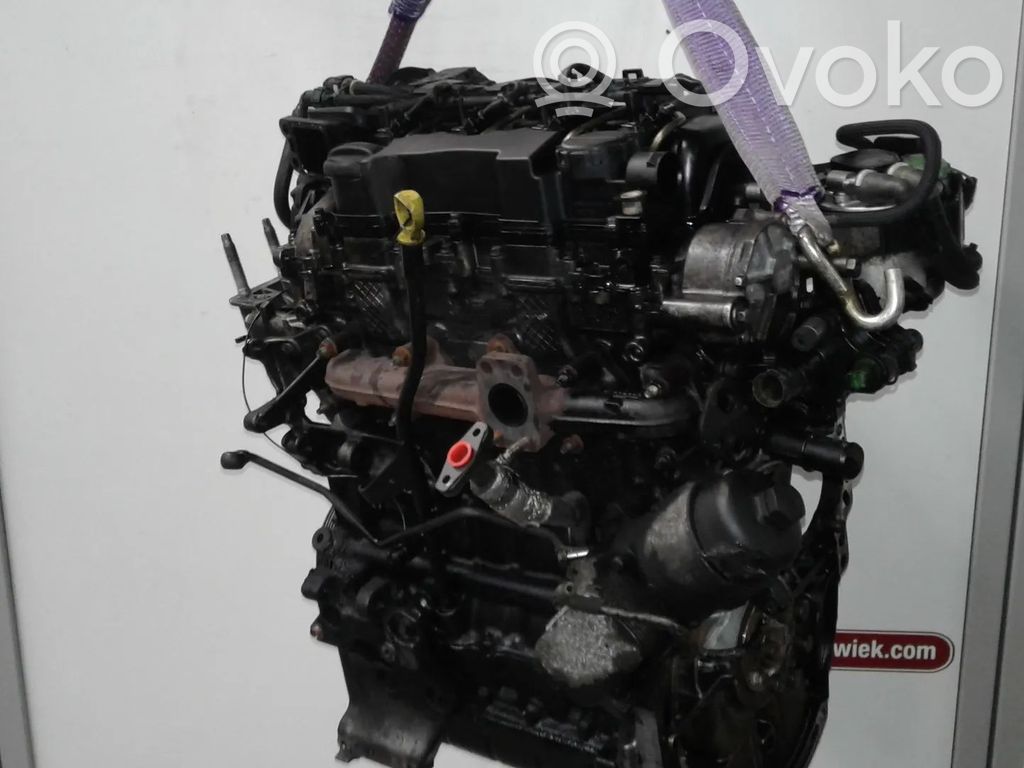 Ford Focus Engine 
