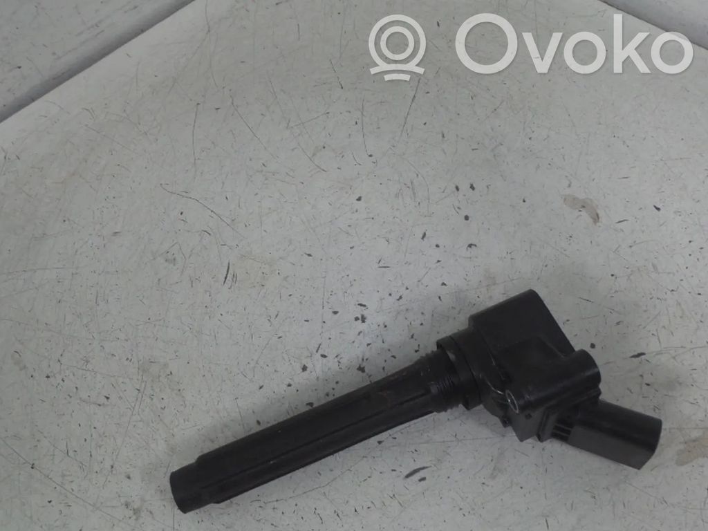 Volkswagen Golf VIII Aukštos įtampos ritė "babyna" 